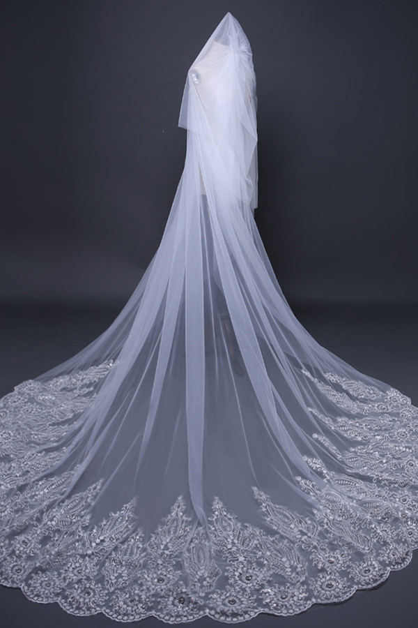Lacy Frame Bridal Veil